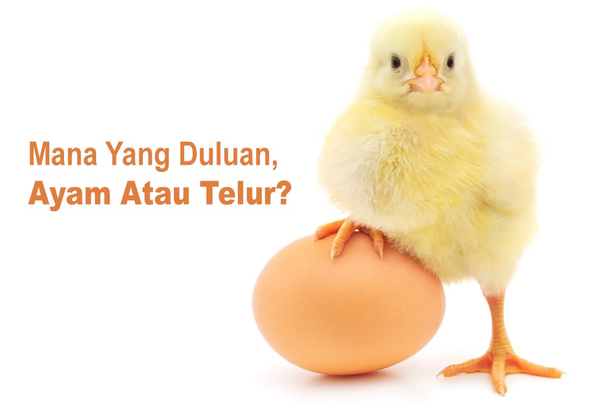 Soal Mana Dulu Ayam dari Telur, Begini Jawabannya Dari Berbagai Versi