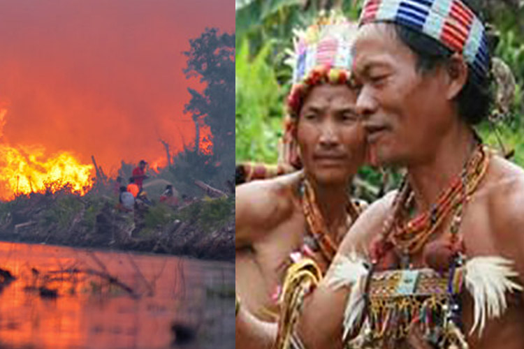 5 Suku di Riau, Diantaranya Terancam oleh Perusakan Hutan