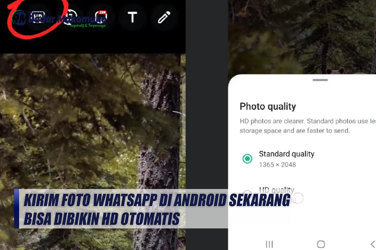 Kirim Foto WhatsApp di Android sekarang Bisa Dibikin HD Otomatis, Begini Caranya