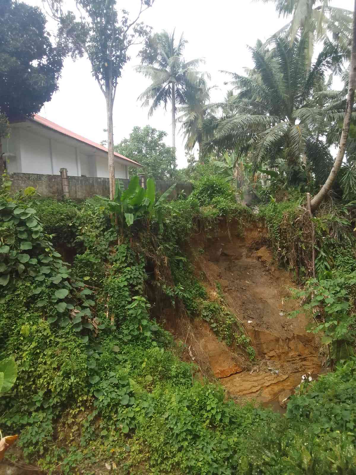 Terdampak Longsor, Bangunan Rawat Inap Puksesmas Lubuk Pinang Terancam Terjun ke Jurang