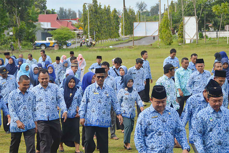 Jadi Caleg ASN dan Honorer Daerah Wajib Mundur, Ini Ketentuannya