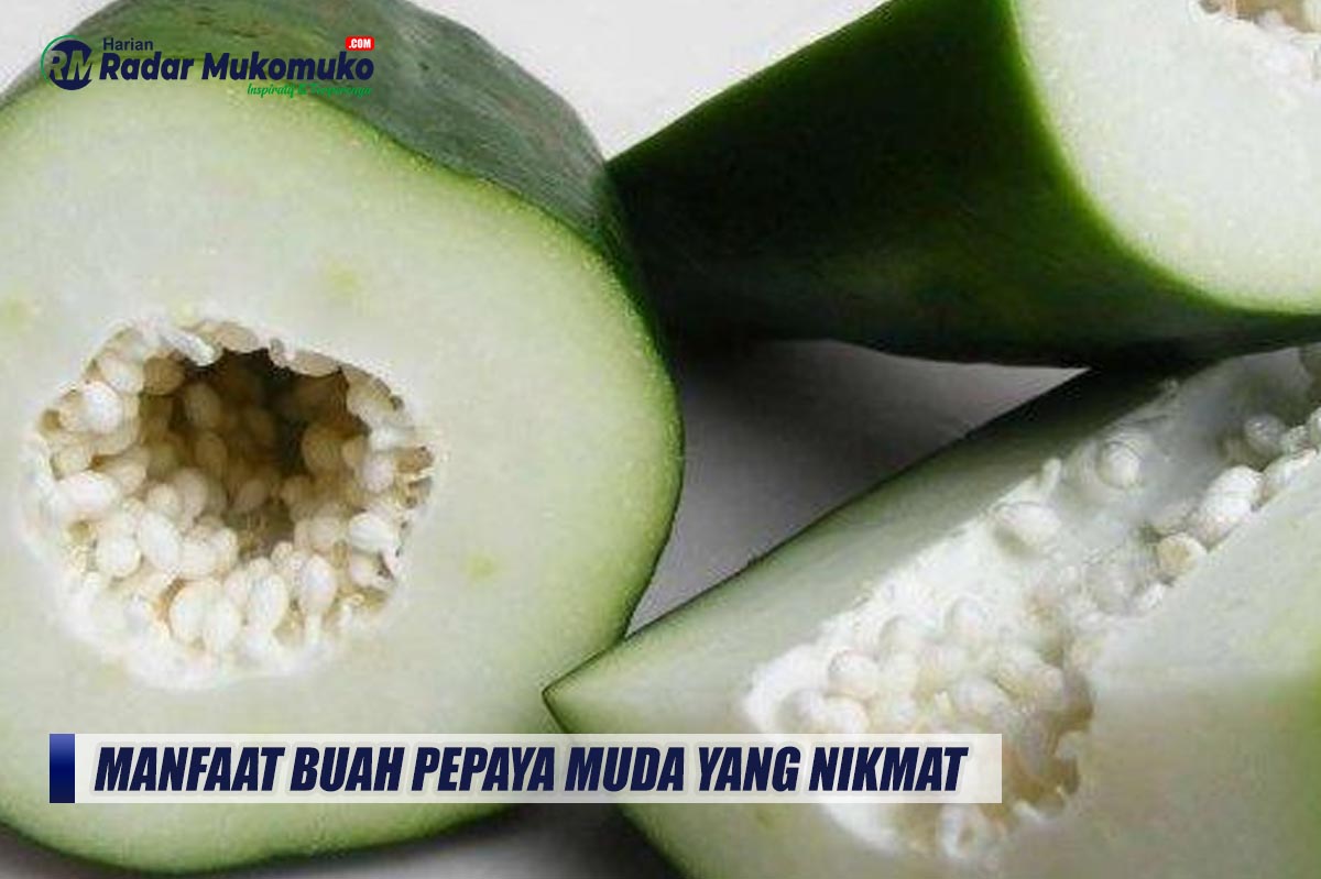 Bisa Mencegah Kulit Keriput Hingga Anemia, Inilah Manfaat Buah Pepaya Muda yang Nikmat