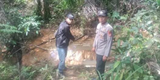 Harimau Ditemukan Mati di Bukit Makmur Mukomuko