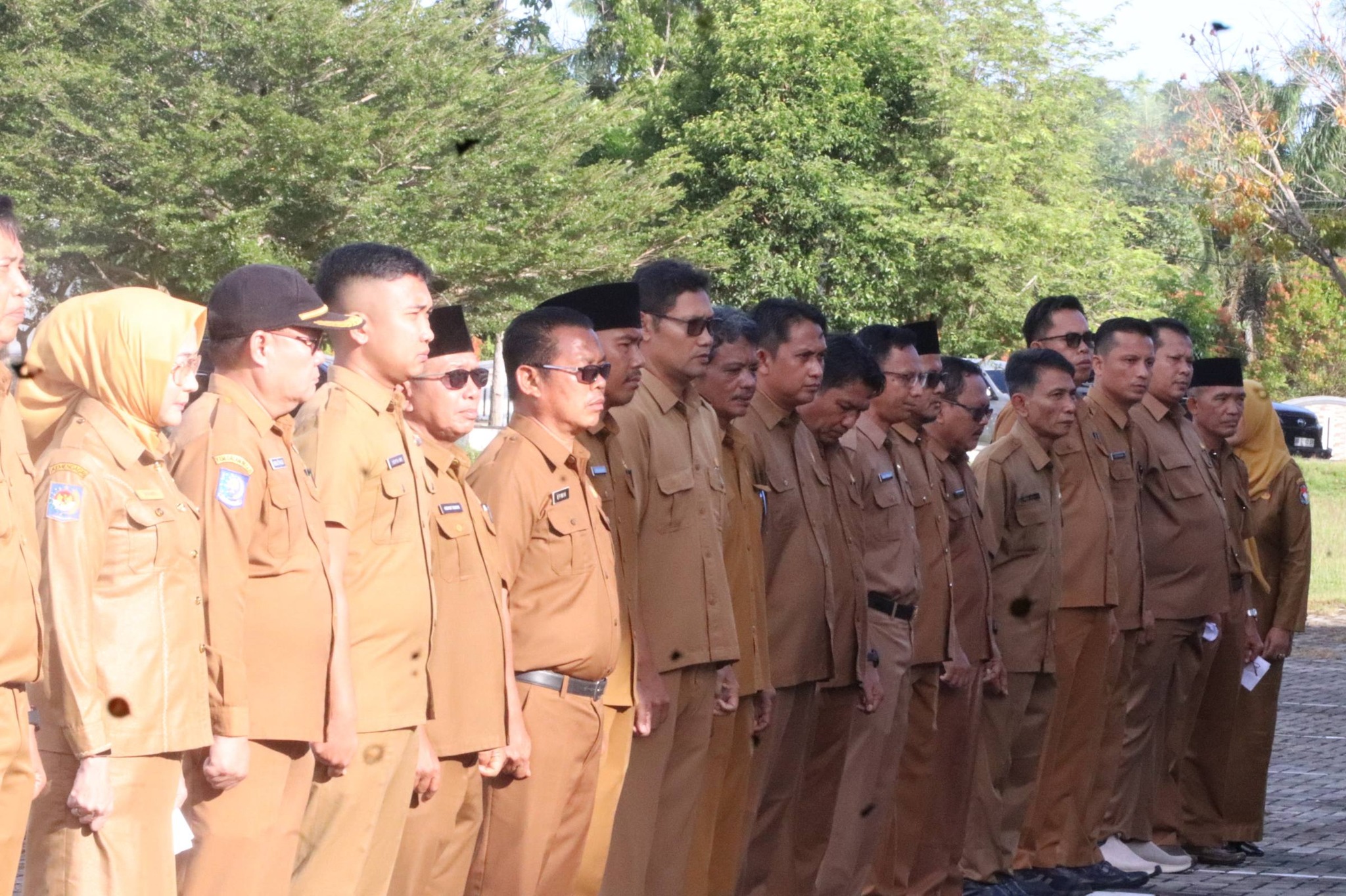 ASN Resmi Terapkan Kerja Dari Rumah, Berikut Ketentuannya