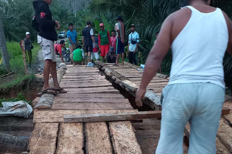 Jembatan Batang Kelapa untuk Desa Makmur Jaya