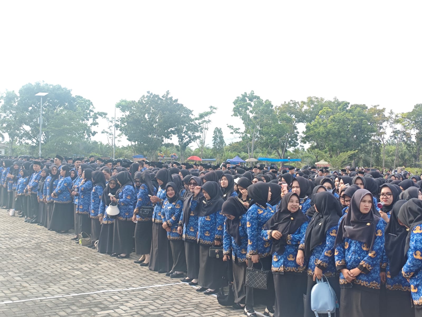 Belanja Pegawai Maksimal 30 Persen, PPPK Paruh Waktu Mukomuko Juga Terancam Dirumahkan