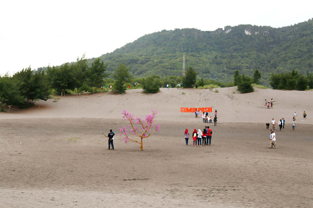 Rasakan Nuansa Berbeda dengan Berkunjung ke Taman Bukit Pasir Destinasi Wisata di Pagar Alam yang Menakjubkan