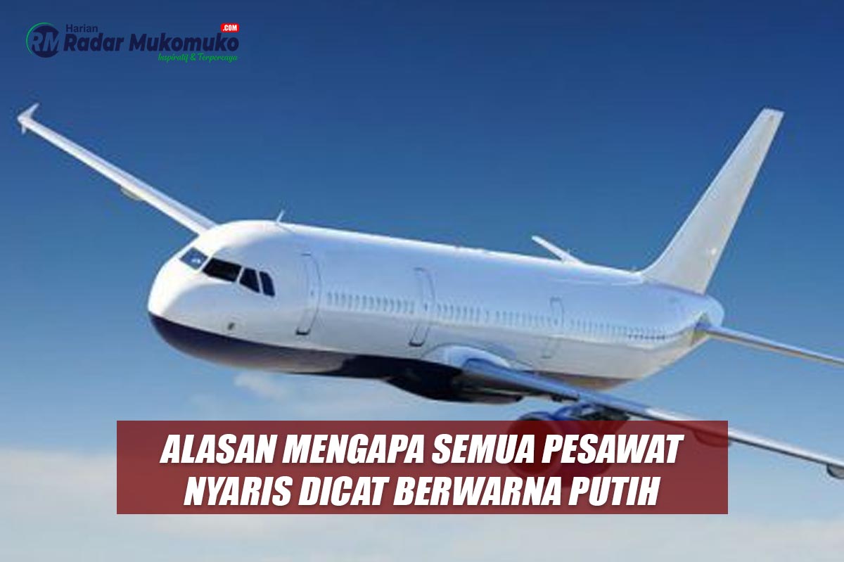 Ternyata Ini Alasan Mengapa Semua Pesawat Nyaris Dicat Berwarna Putih