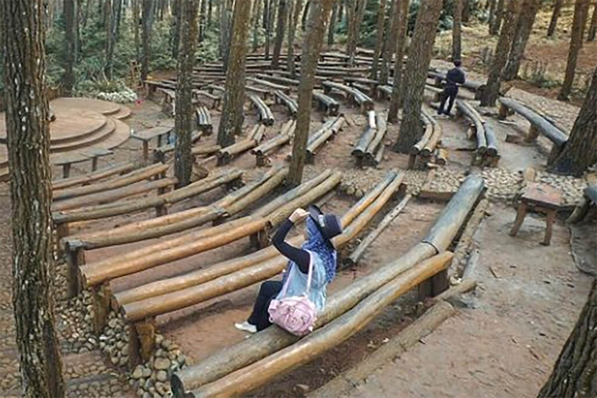 Destinasi Wisata Hutan Pinus di Yogyakarta yang Menawarkan Pesona Alam yang Menakjubkan