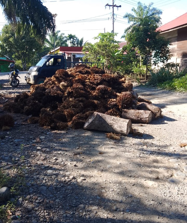 Warga Nelan Indah Blokade Jalan Pabrik CPO PT. MMIL, Jangkos Ditumpukkan di Jalan