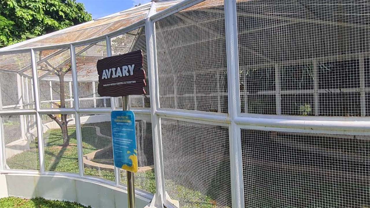 Jaga Peliharaan Hewan di Aviary! Begini Tips Mencegah Predator Memangsa Burung di Aviary