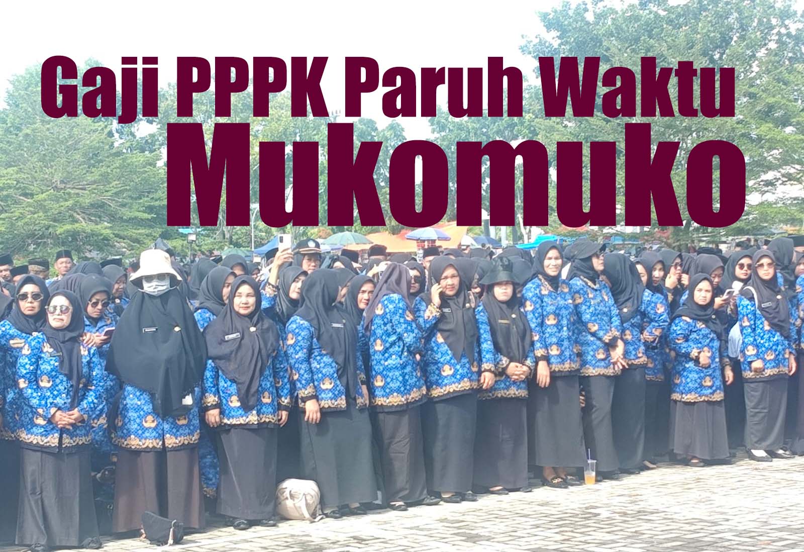 Gaji PPPK Paruh Waktu Mukomuko Bakal Dipotog, Yang Diterima Kurang Dari Rp 1 Juta, Ini Penyebabnya