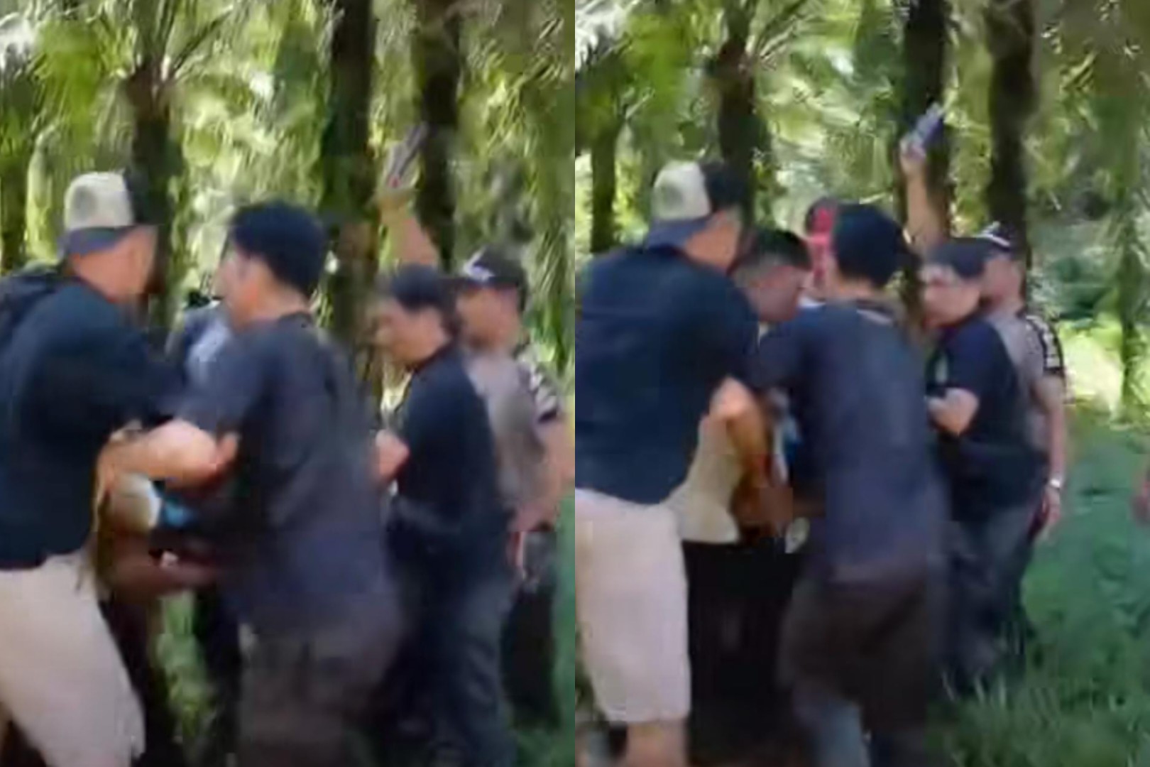 Viral Lagi, Video Keributan Warga Air Berau Vs Satpam PT. DDP di Lahan Perkebunan Sawit