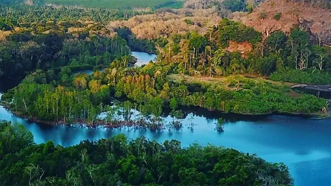 Keindahan Alam Taman Nasional Meru Betiri yang Menyegarkan Hati 