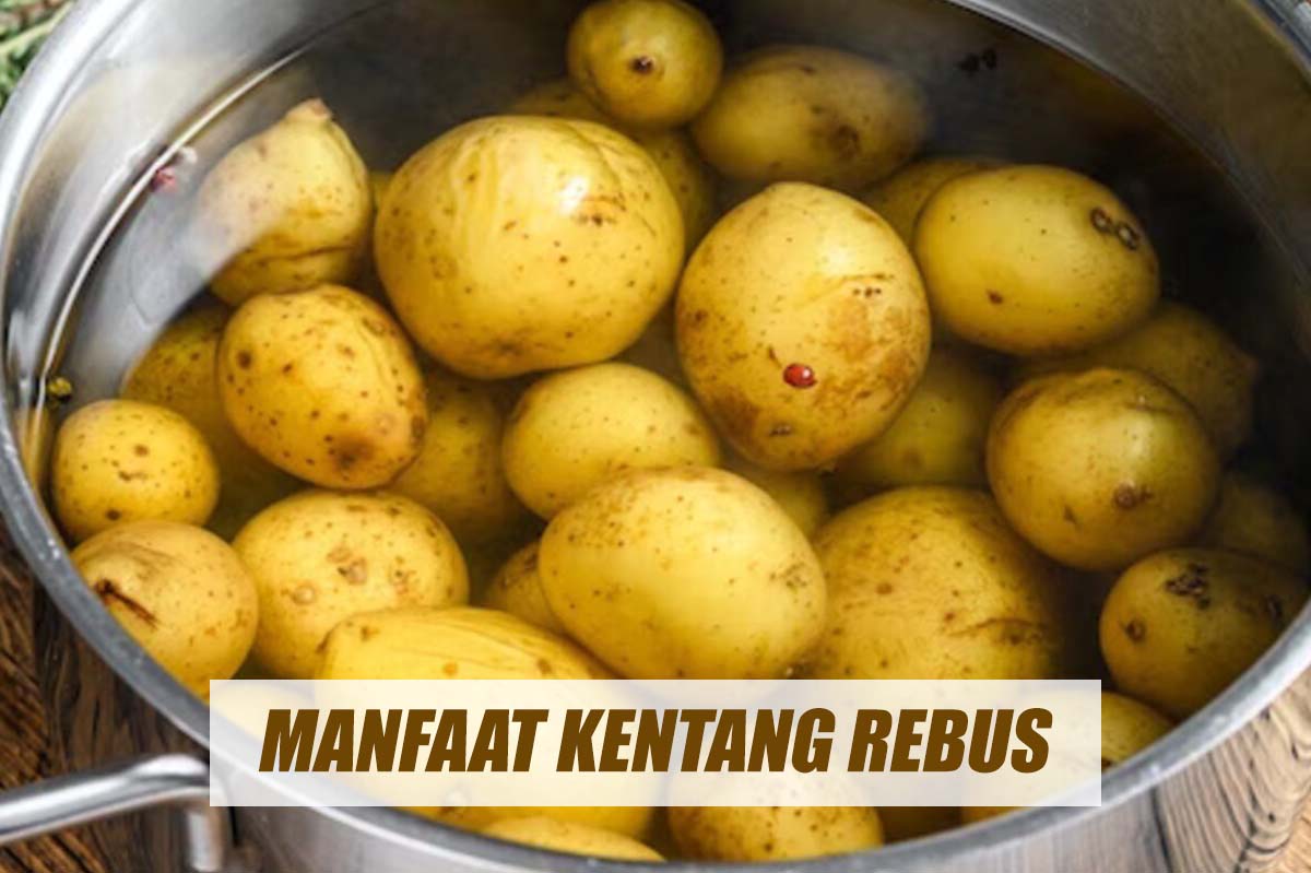 Nikmati Sarapan dengan Kentang Rebus, Inilah Manfaatnya Bagi Kesehatan