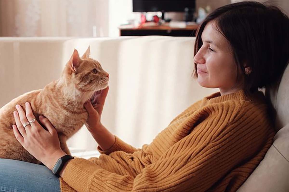 Tips Memelihara Kucing Buat Kamu yang Tinggal di Rumah Kecil, Biar Si Meow Nyaman Selalu