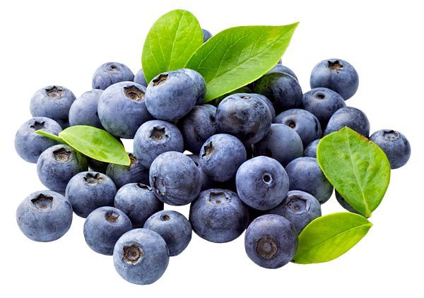 Manfaat Buah Blueberry untuk Kesehatan Otak dan Memori yang Lebih Tajam