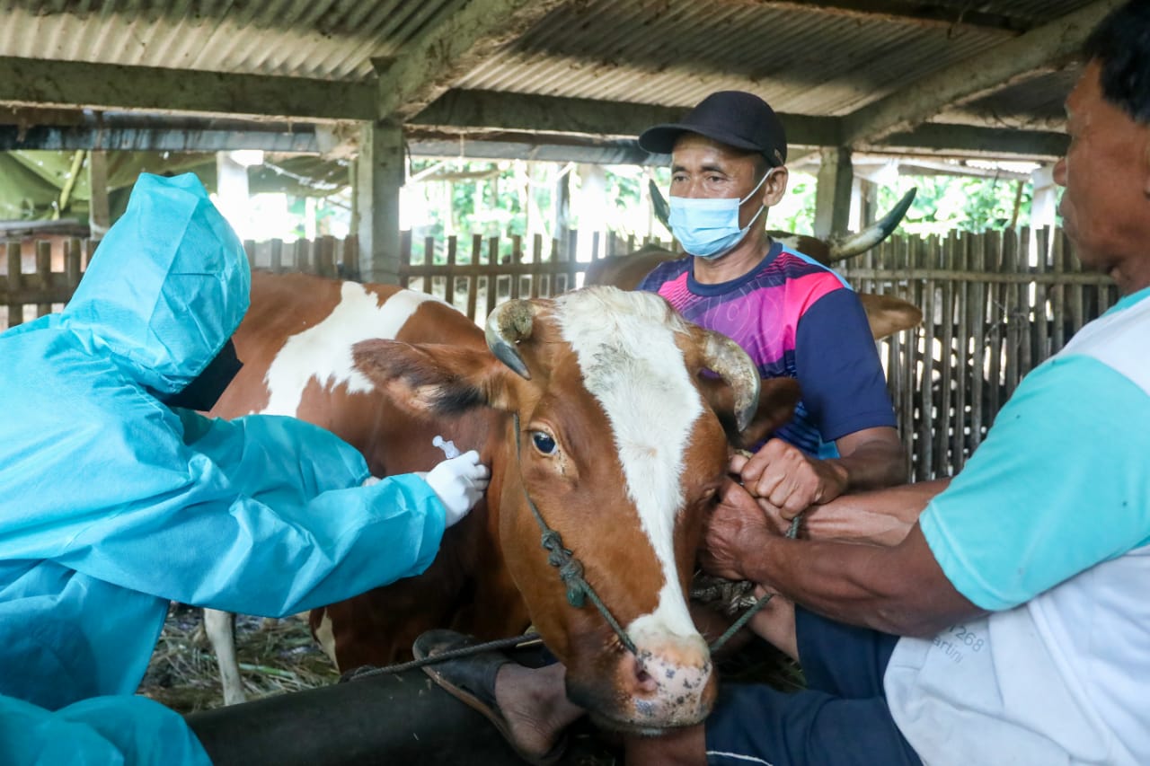 Usulkan Program Vaksin Jembrana