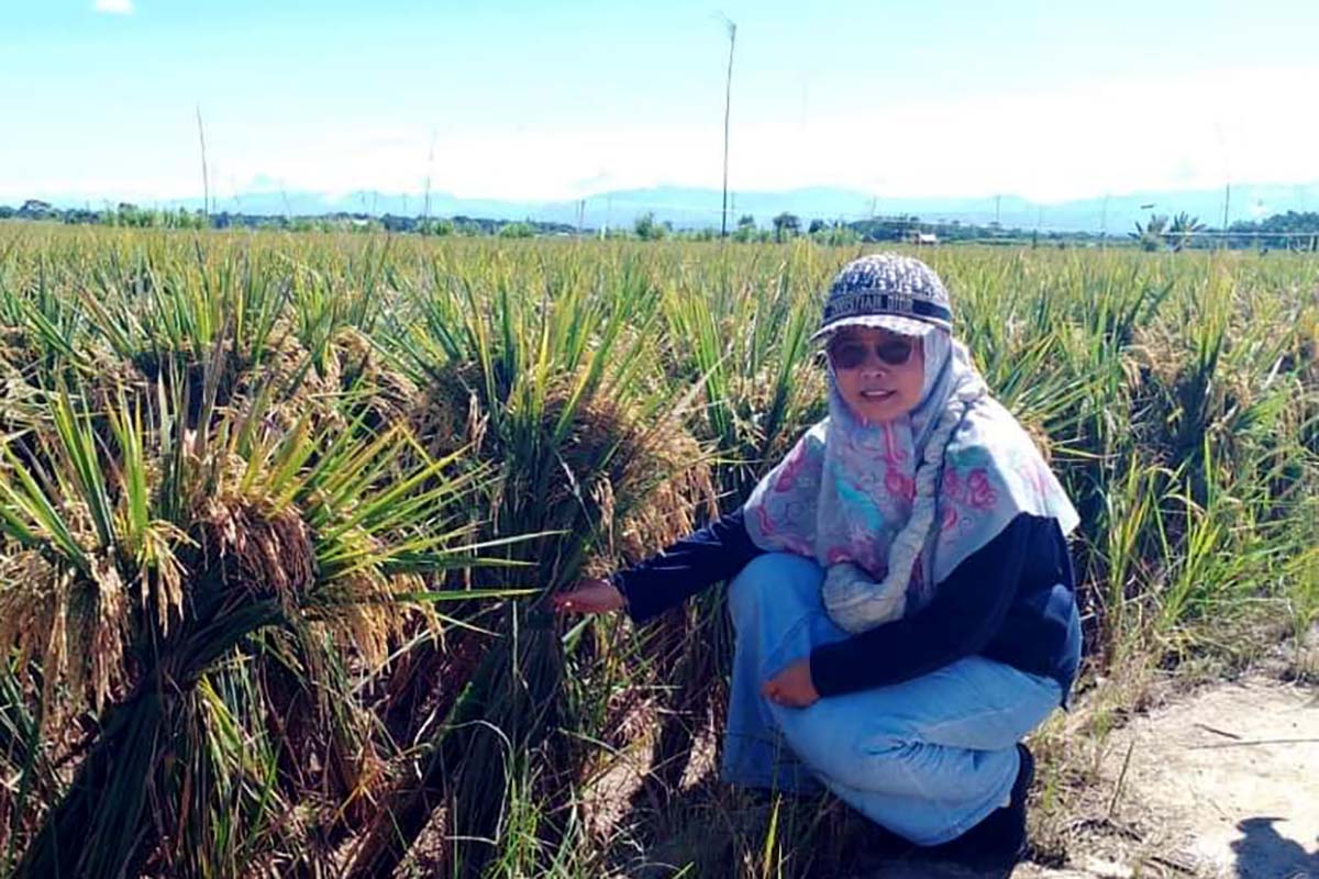 Kabar Gembira Sambut Musim Tanam Petani Mukomuko, Pemerintah Tambah Kuota Pupuk Subsidi  