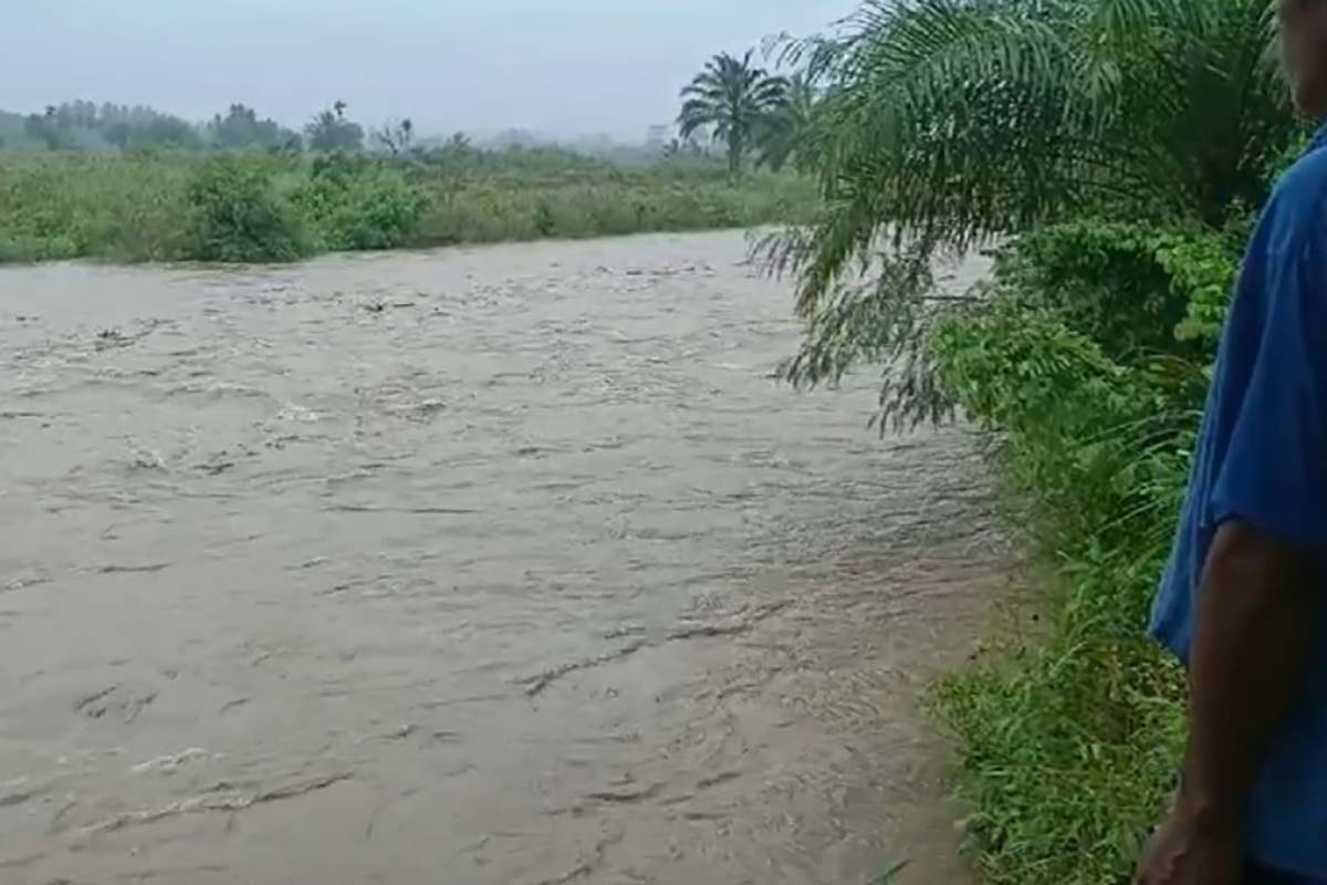 Istri Kades dan 3 Wanita Lainnya Hanyut di Sungai Kadurang Bengkulu Selatan