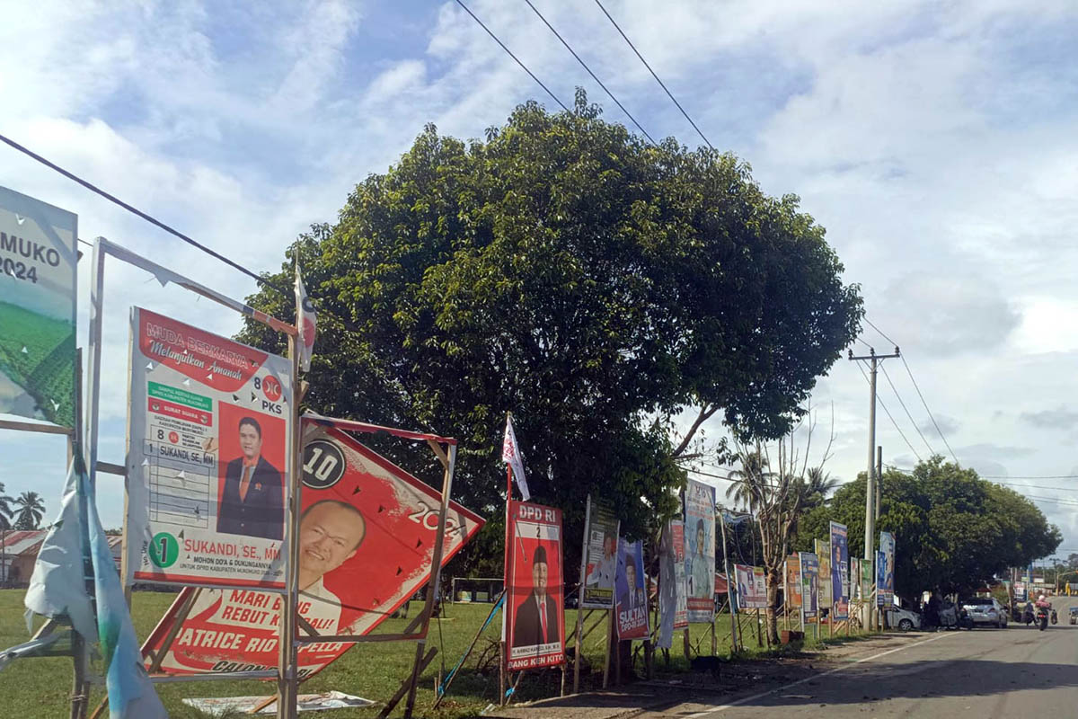 APK Caleg Bergelantungan di Pohon, Kalau Petugas Tahu Bisa Disanksi