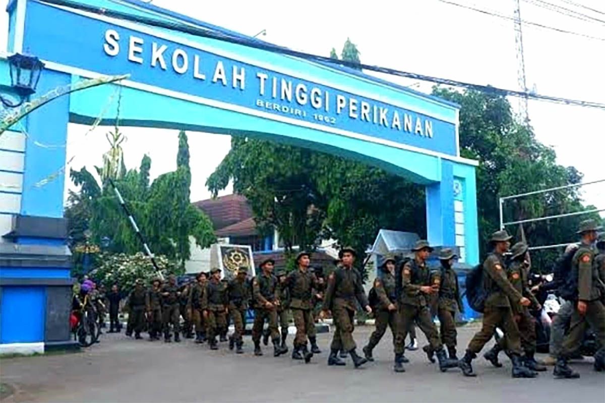 Masih Bingung Apa Perbedaan Universitas, Institut, Sekolah Tinggi, Politeknik, dan Akademi? Ini Penjelasannya