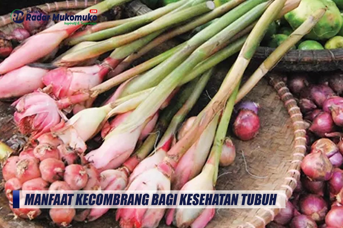 Banyak yang Tidak Tahu, Inilah Manfaat Kecombrang Bagi Kesehatan Tubuh