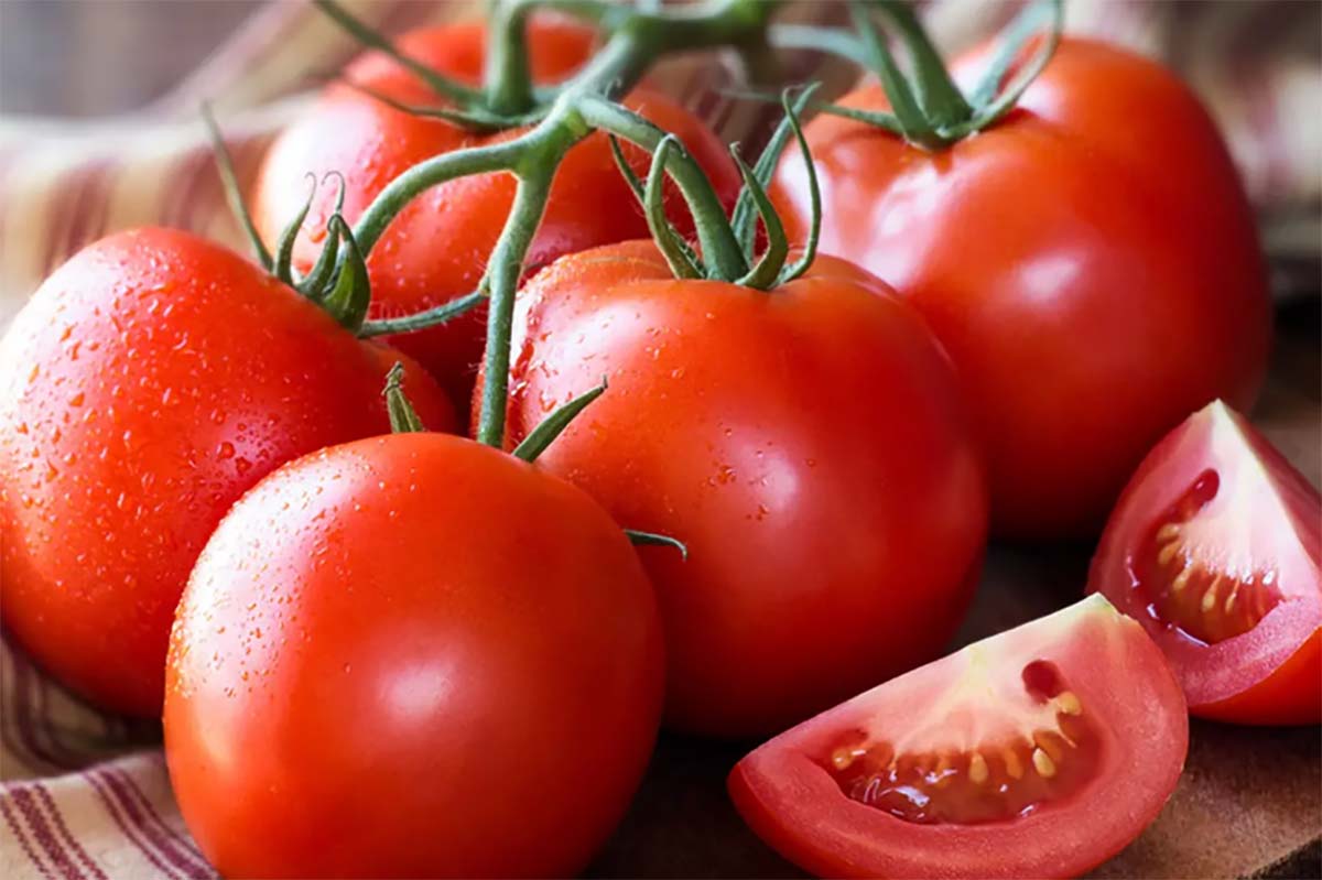 Manfaat Tersembunyi Dari Tomat yang Jarang Diketahui, Simak Penjelasannya Berikut