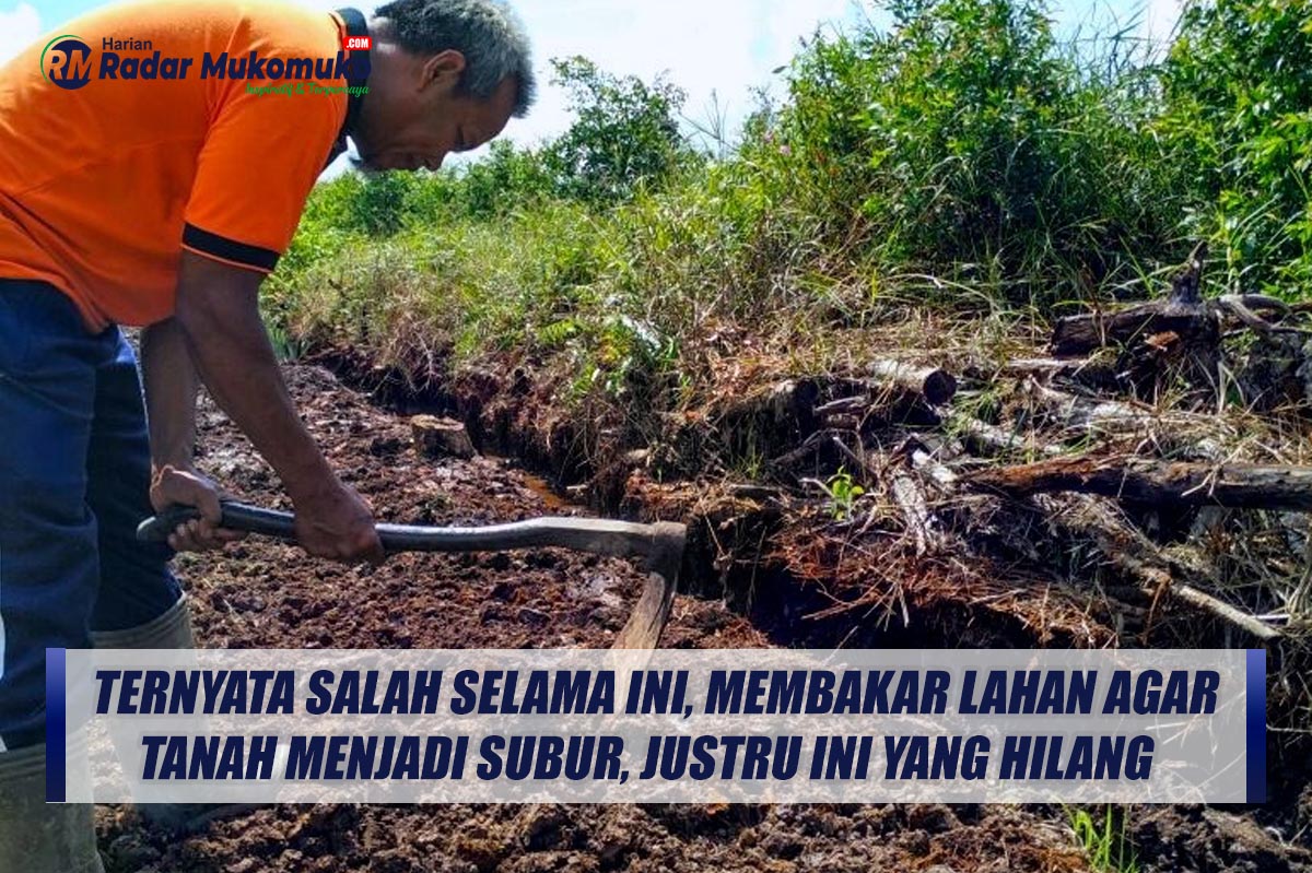 Ternyata Salah Selama Ini, Membakar Lahan Agar Tanah Menjadi Subur, Justru Ini Yang Hilang  