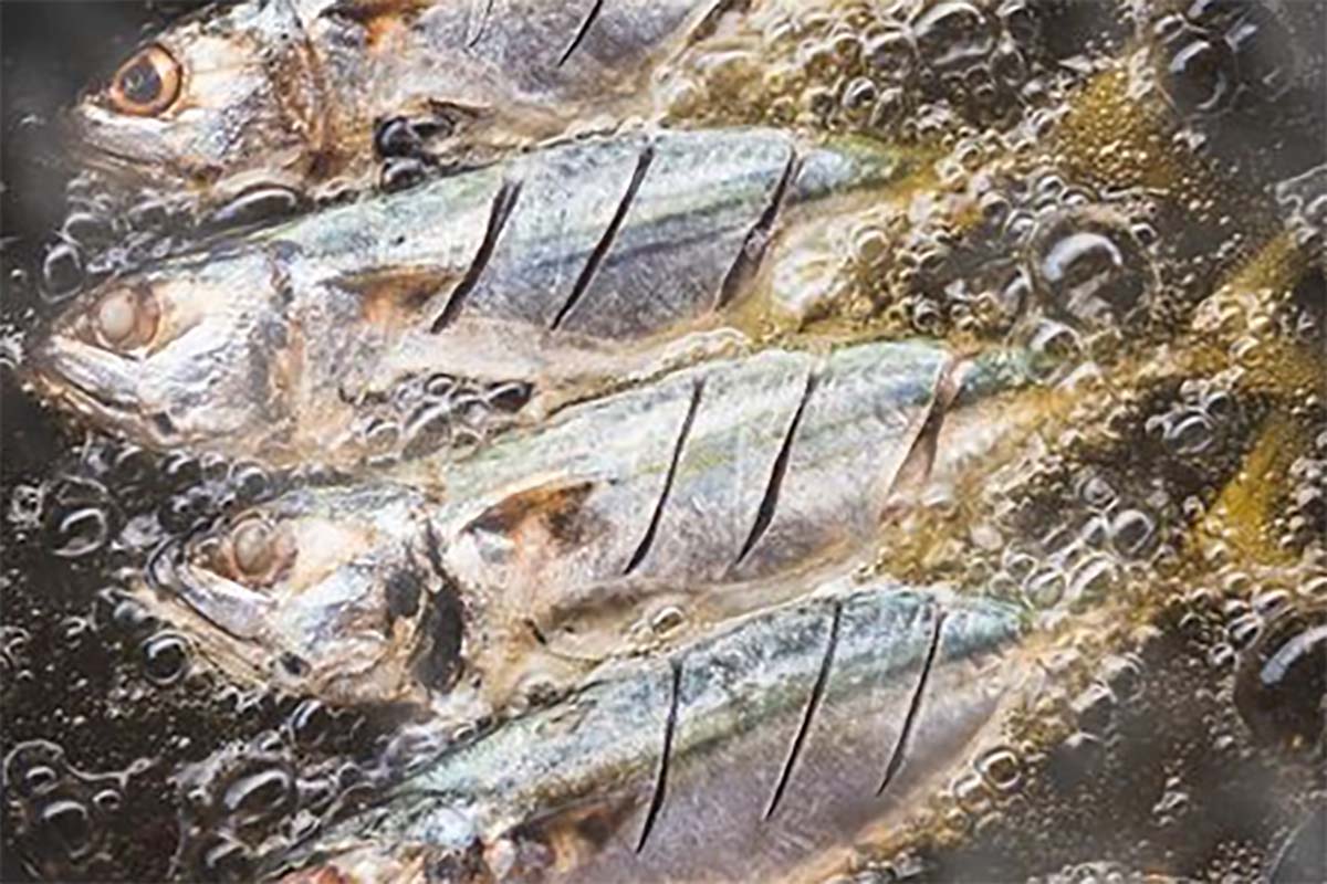 Panduan Goreng Ikan Agar Migor Tidak Meletup, Taburi Garam Lebih Dulu