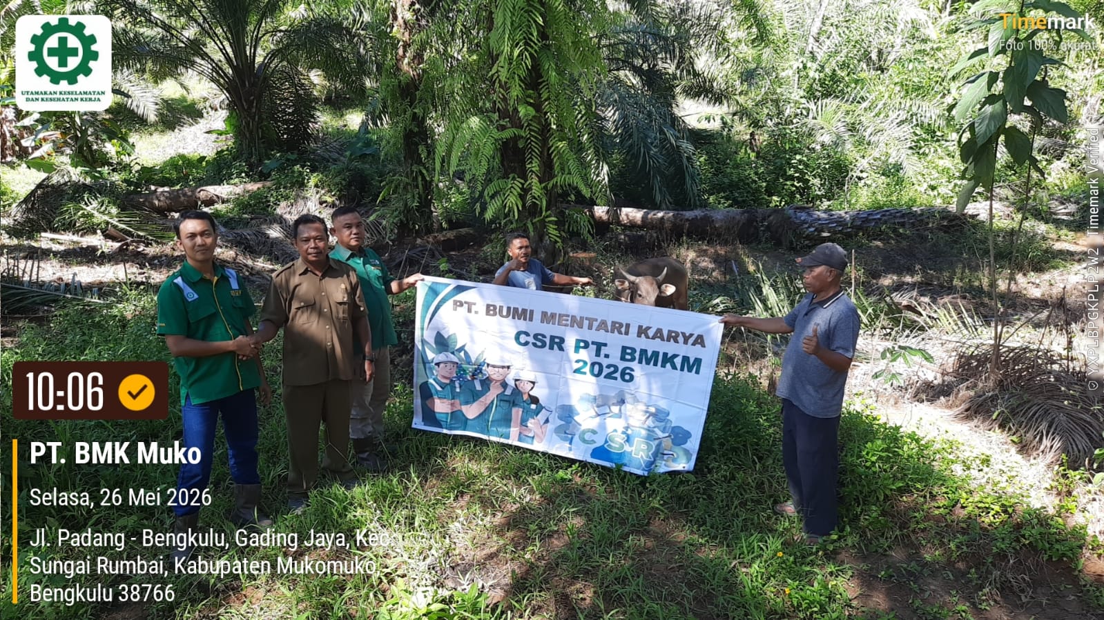 Berdampingan dengan Masyarakat, PT. BMK Salur Hewan Qurban Melalui CSR