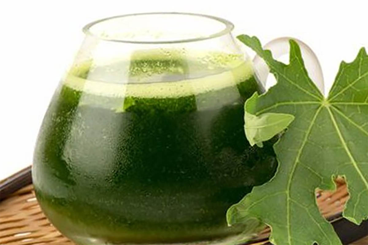 5 Manfaat Rutin Minum Jus Daun Pepaya, Salah Satunya Menyehatkan Kulit, Yuk Simak