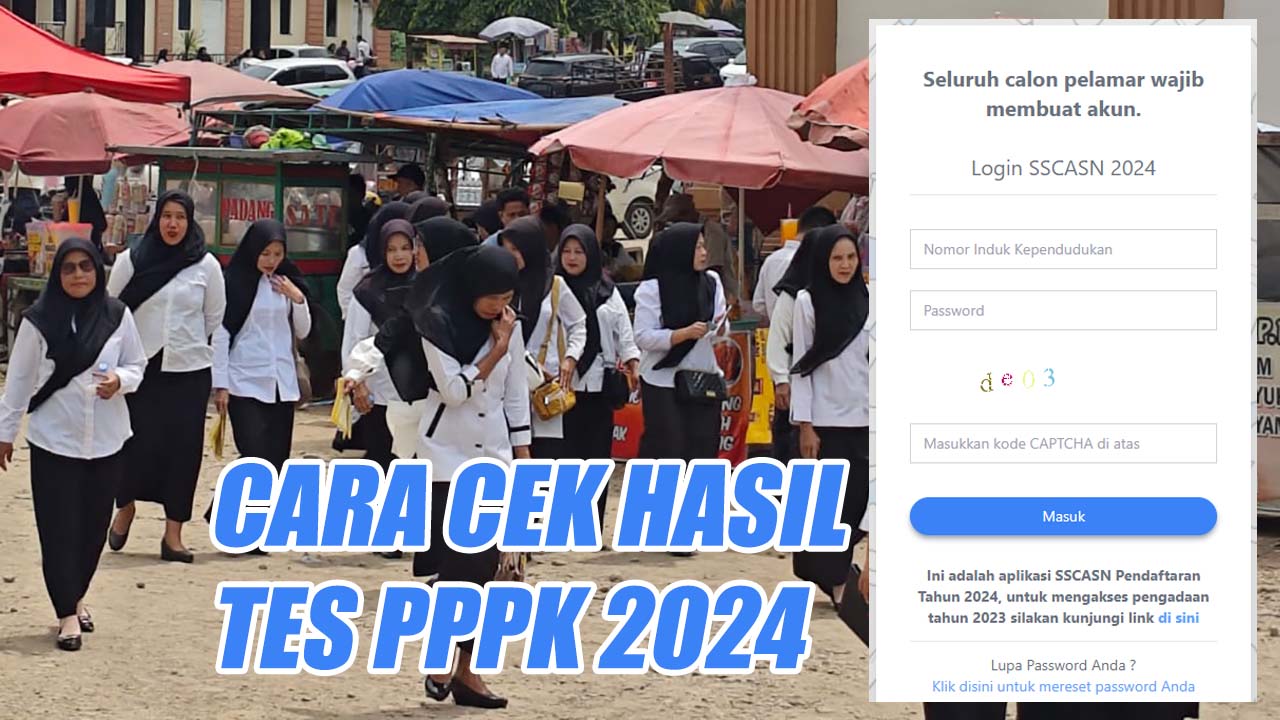 Hasil Tes PPPK Diumumkan, Begini Cara Mengeceknya