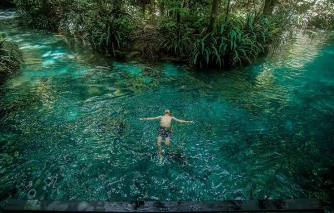 Kilauan Air Kali Biru Genyem, Kolam Alami yang Tersimpan di Tanah Papua Bak Keindahan di Surgawi