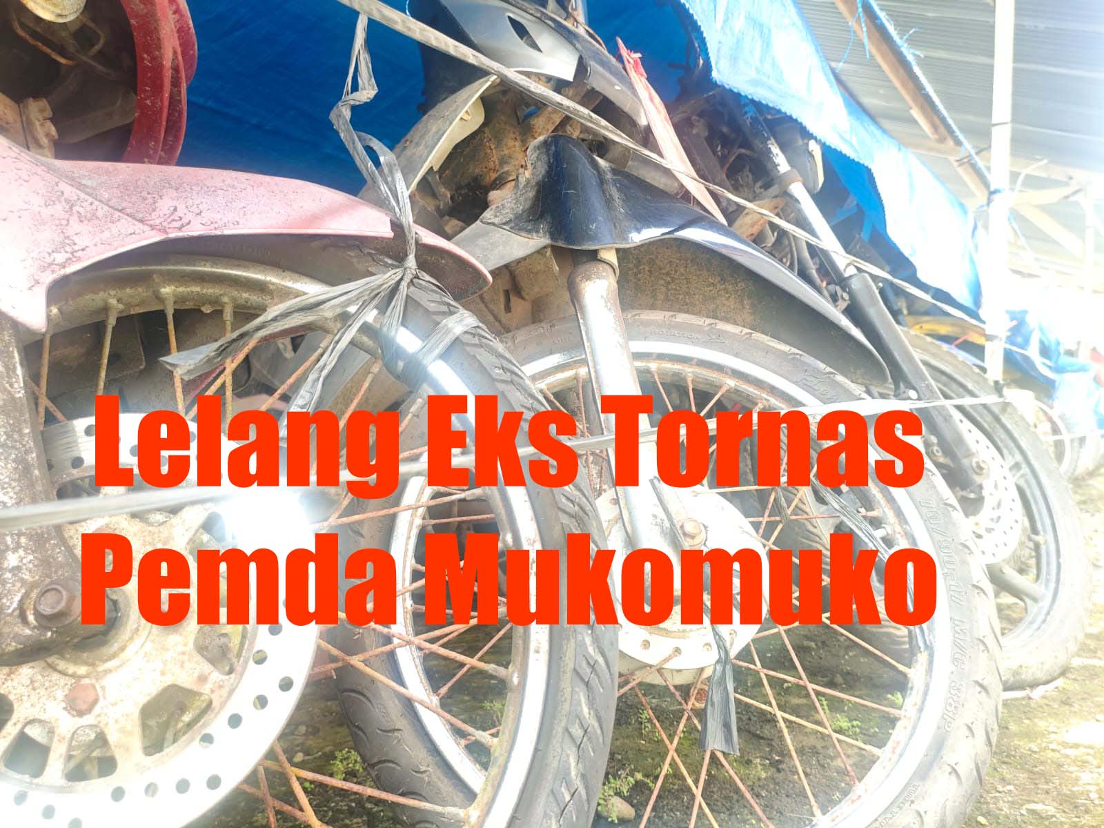 Eks Motor Dinas Mukomuko Terjual Rp 132 Juta dari Harga Awal Rp 48 Juta, Semua Masuk ke PAD