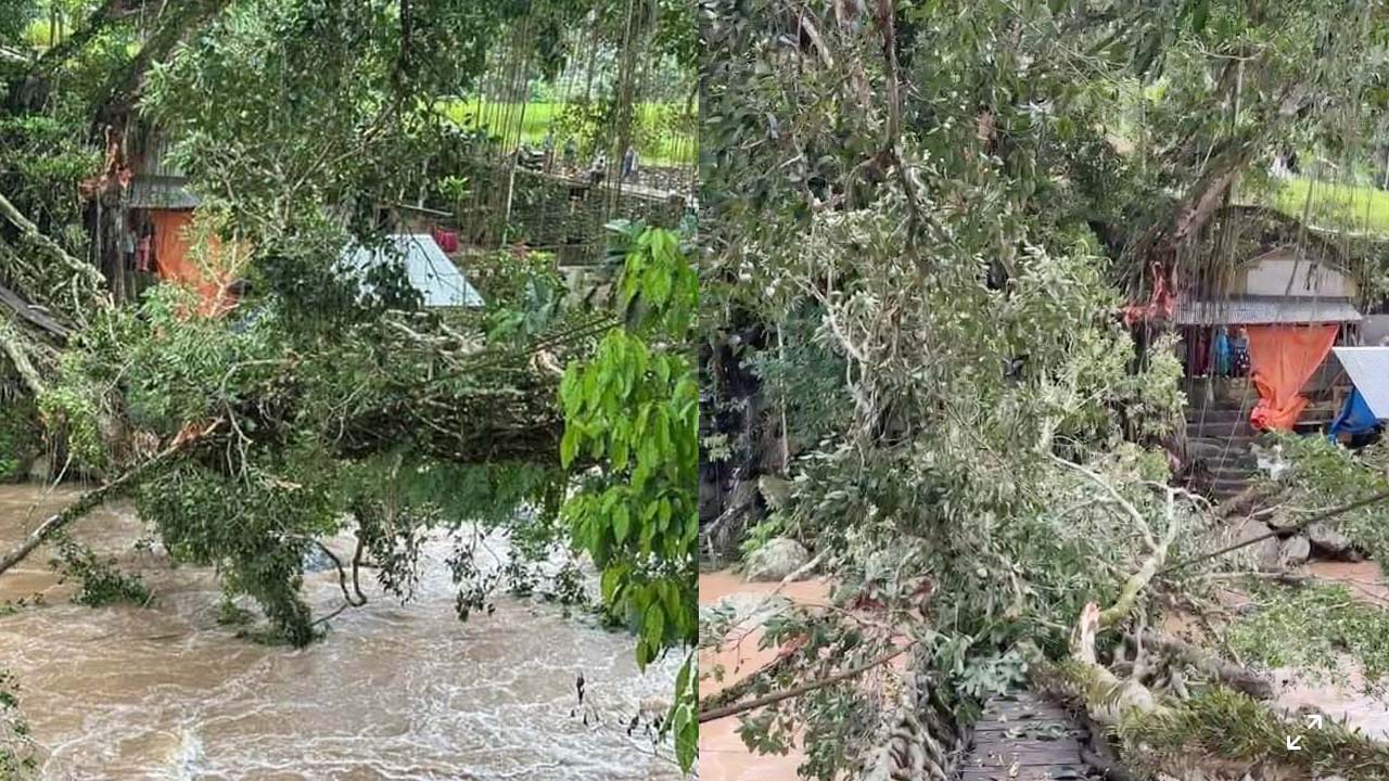 Jembatan Akar Icon Wisata Andalan Pesisir Selatan Nyaris Putus, Begini Kondisinya