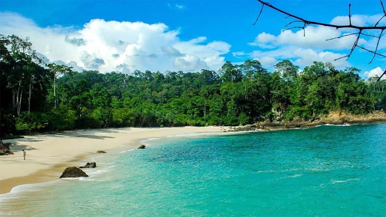 Pesona Alam yang Memukau Wisata Meru Betiri, Jadikan List Wisata Liburan Akhir Tahun