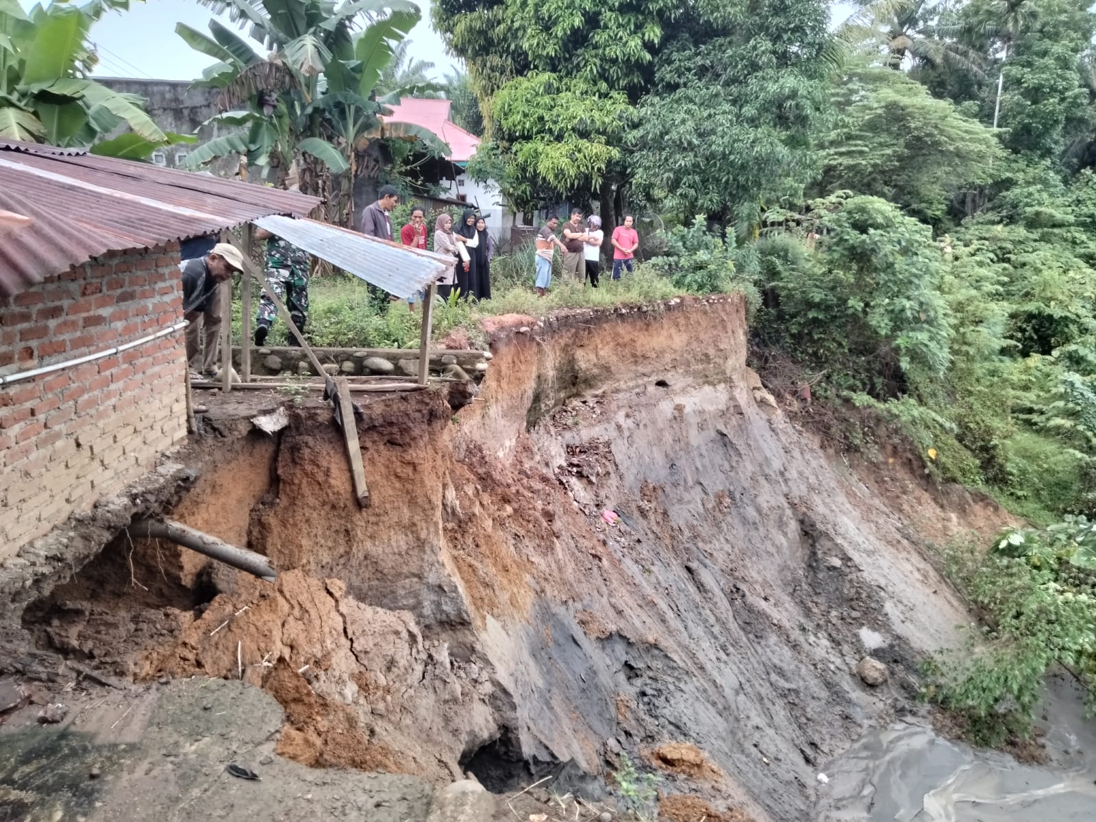 Erosi Sungai Manjuto di Lubuk Pinang Meluas