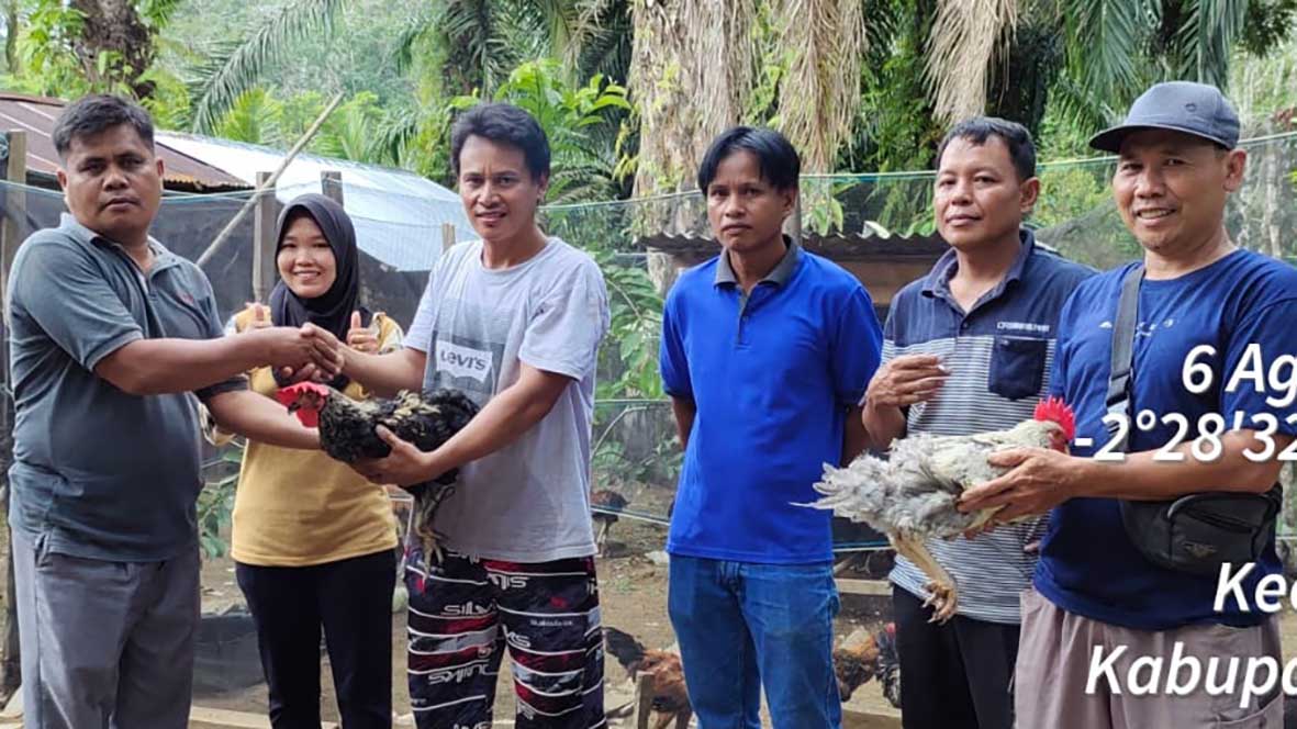 ﻿Ketahanan Pangan Desa Talang Sakti Kembangkan Ternak Ayam