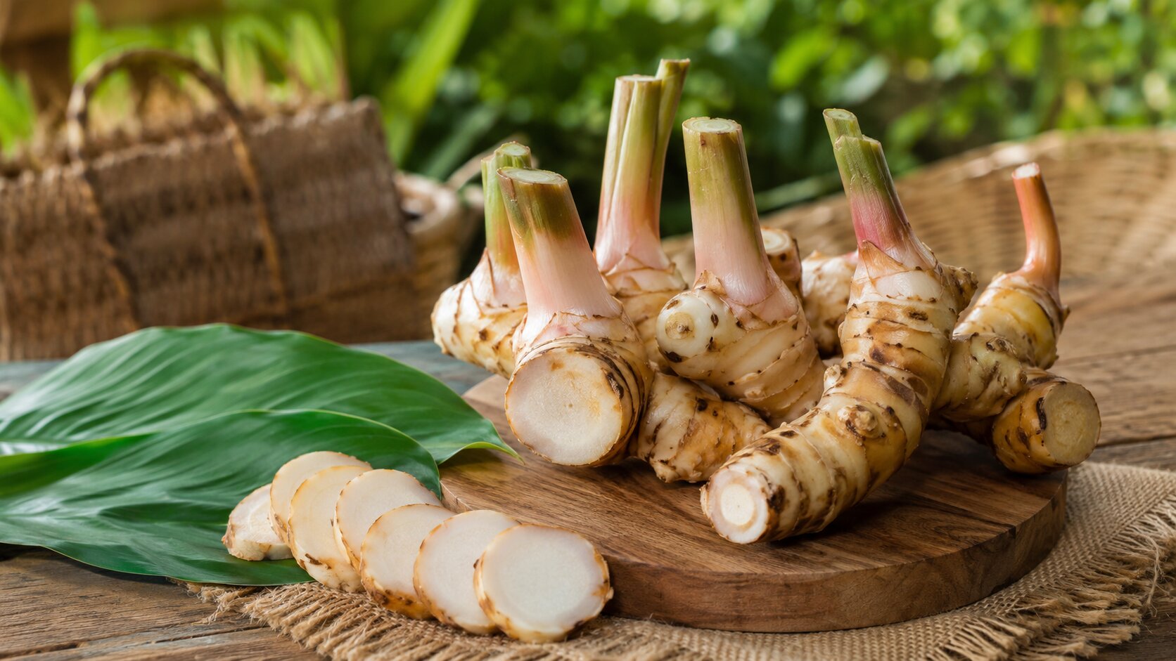 Manfaat Lengkuas bagi Kesehatan Rempah Dapur Tradisional dengan Khasiat Luar Biasa