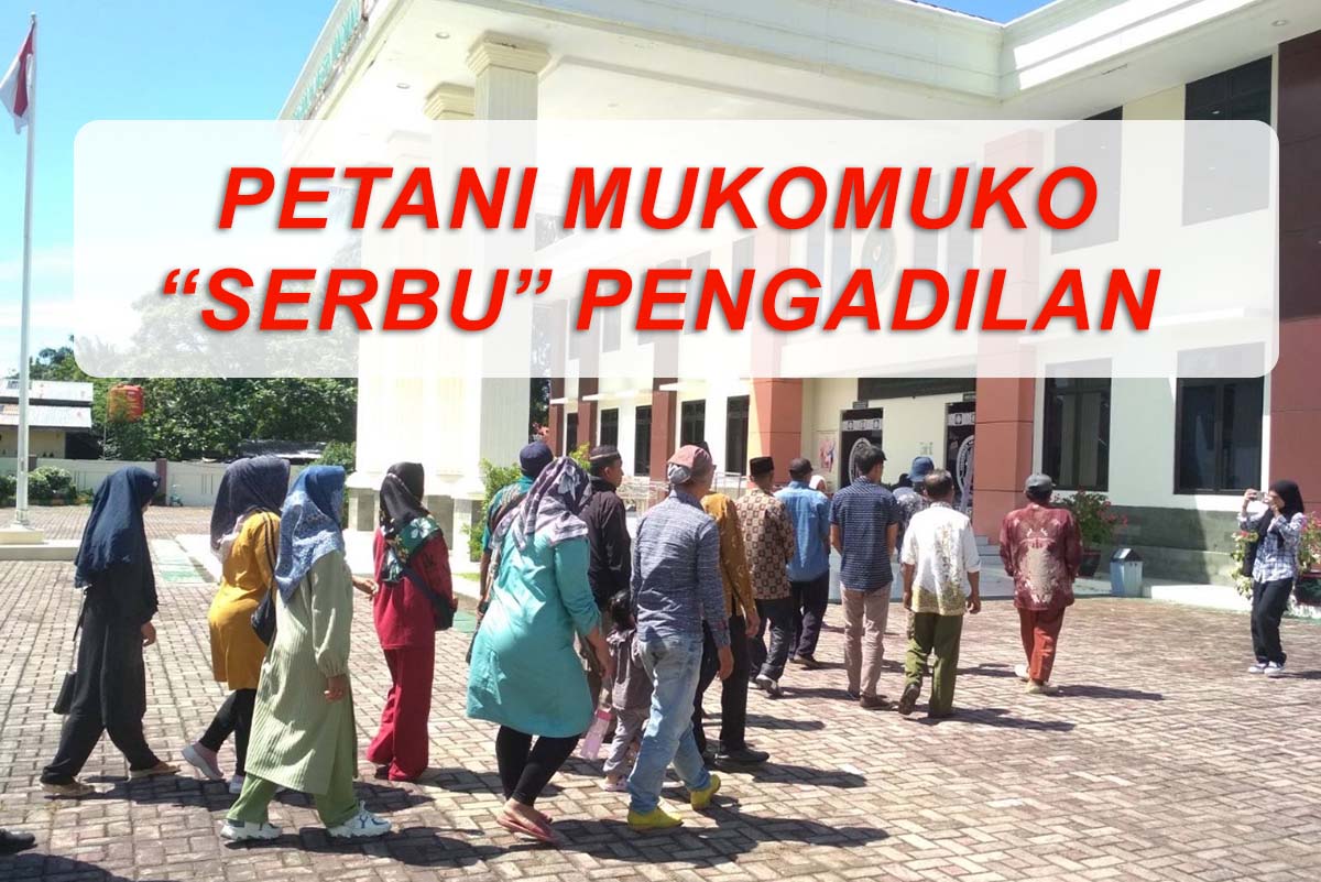 Pengadilan Negeri Mukomuko Menangkan Gugatan Perusahaan, Petani Sawit Dihukum