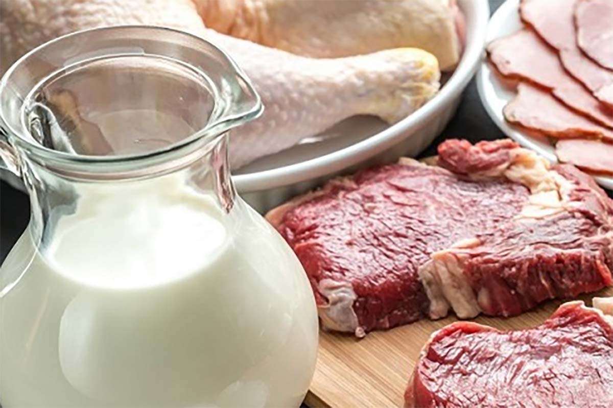 5 Jenis Makanan yang Tidak Boleh Dicampur Dengan Susu, Mulai dari Telur hingga Daging