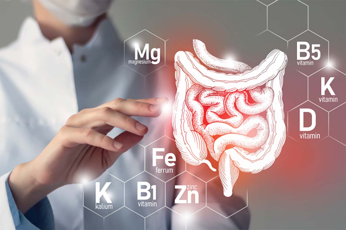 7 Faktor yang Menghambat Proses Metabolisme pada Tubuh