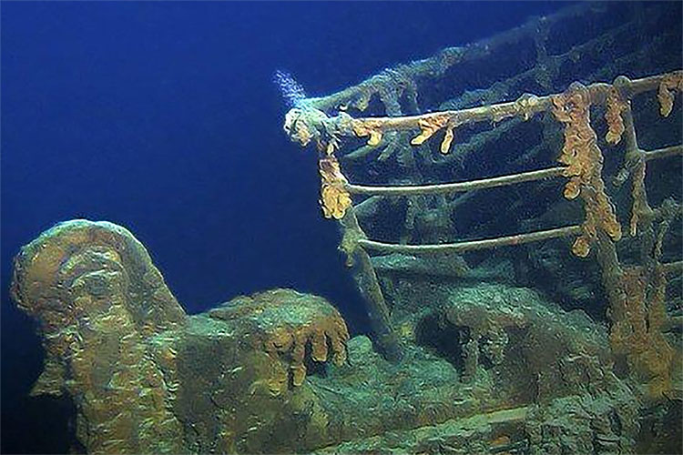 Bangkai Kapal Titanic Dihuni 4 Hewan Mengerikan dan Seram