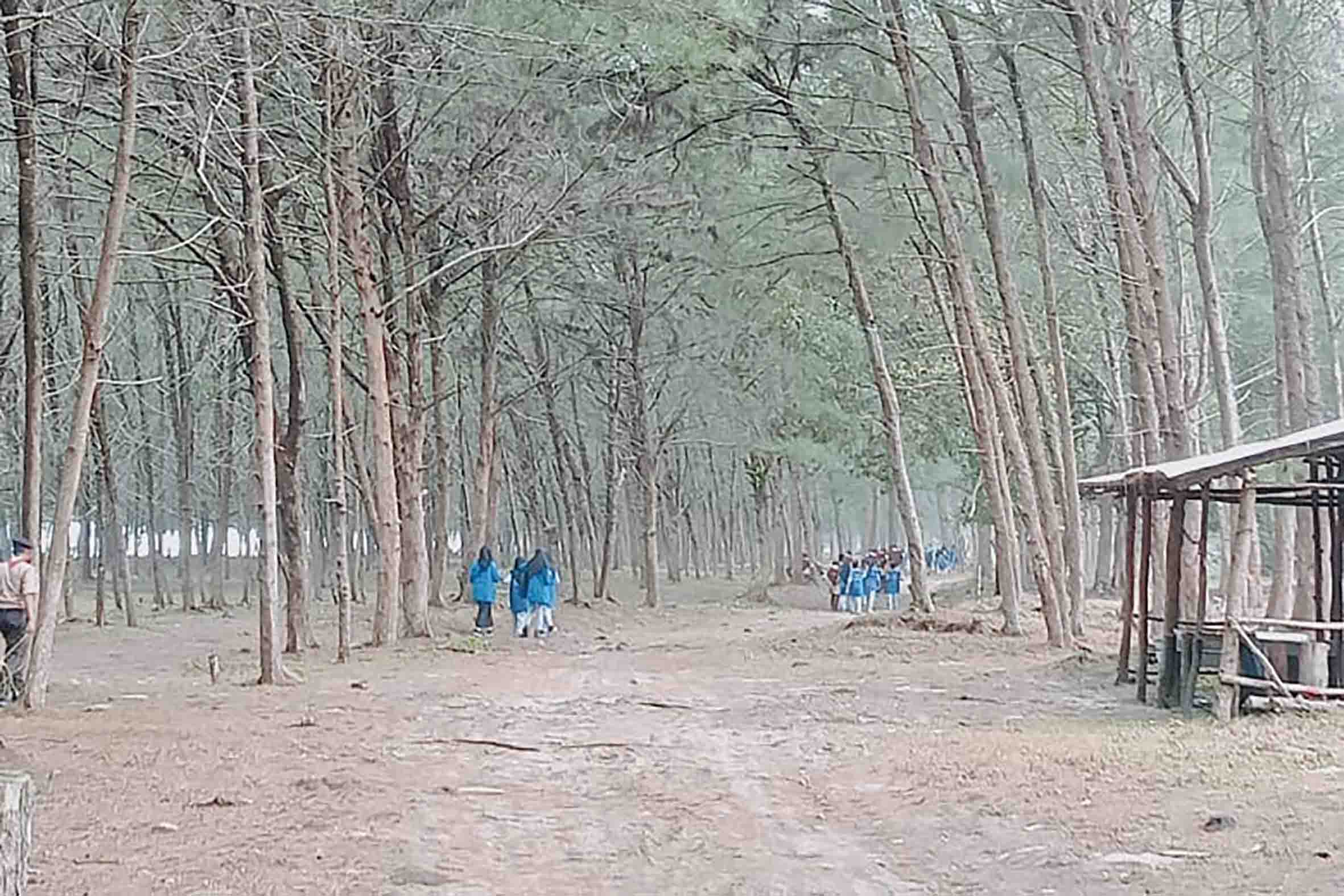 Pantai Batu Kumbang Objek Wisata Menawan Hati dari Mukomuko, Suasana Alamnya Bikin Mata Terbelalak   