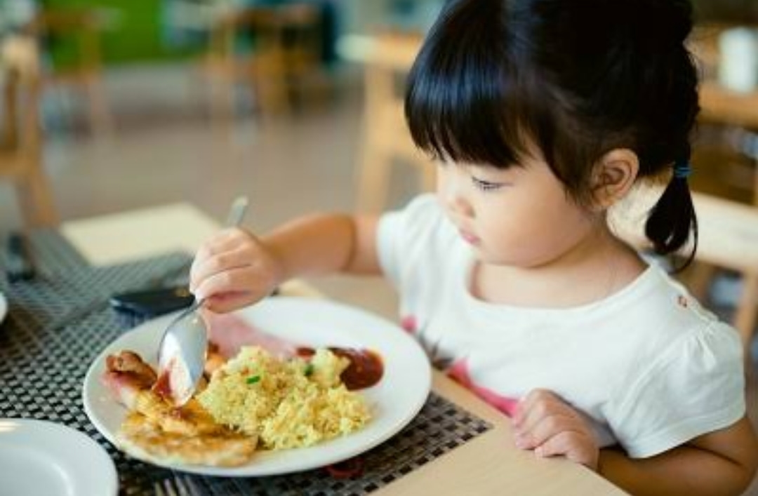 Orang Tua Harus Paham, Ini Makanan Yang Mencerdaskan Anak