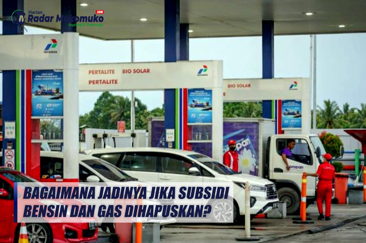Bagaimana Jadinya Jika Subsidi Bensin dan Gas Dihapuskan?