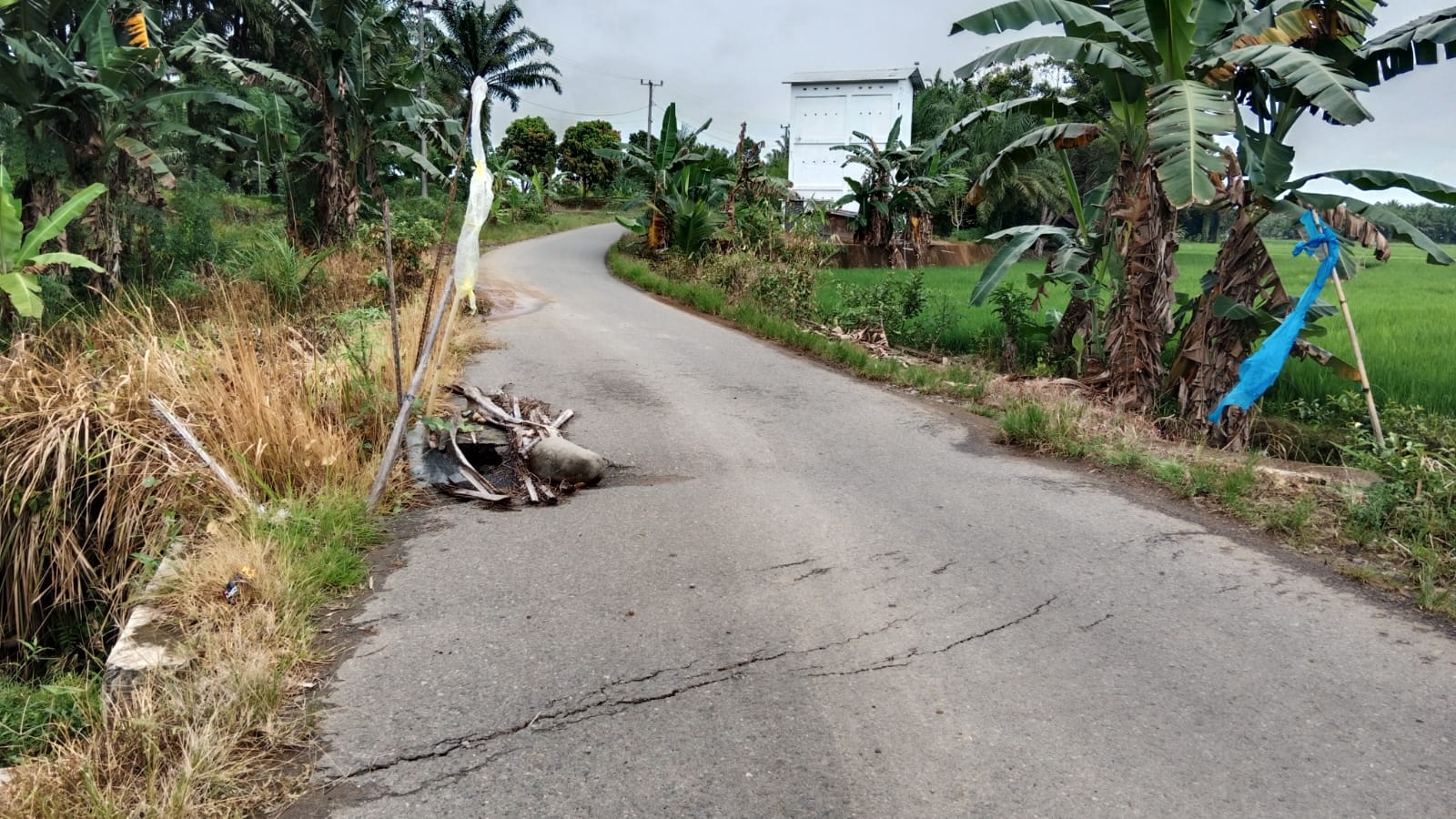 Akses Penghubung Lubuk Sanai II – Rawa Mulya Terancam Putus