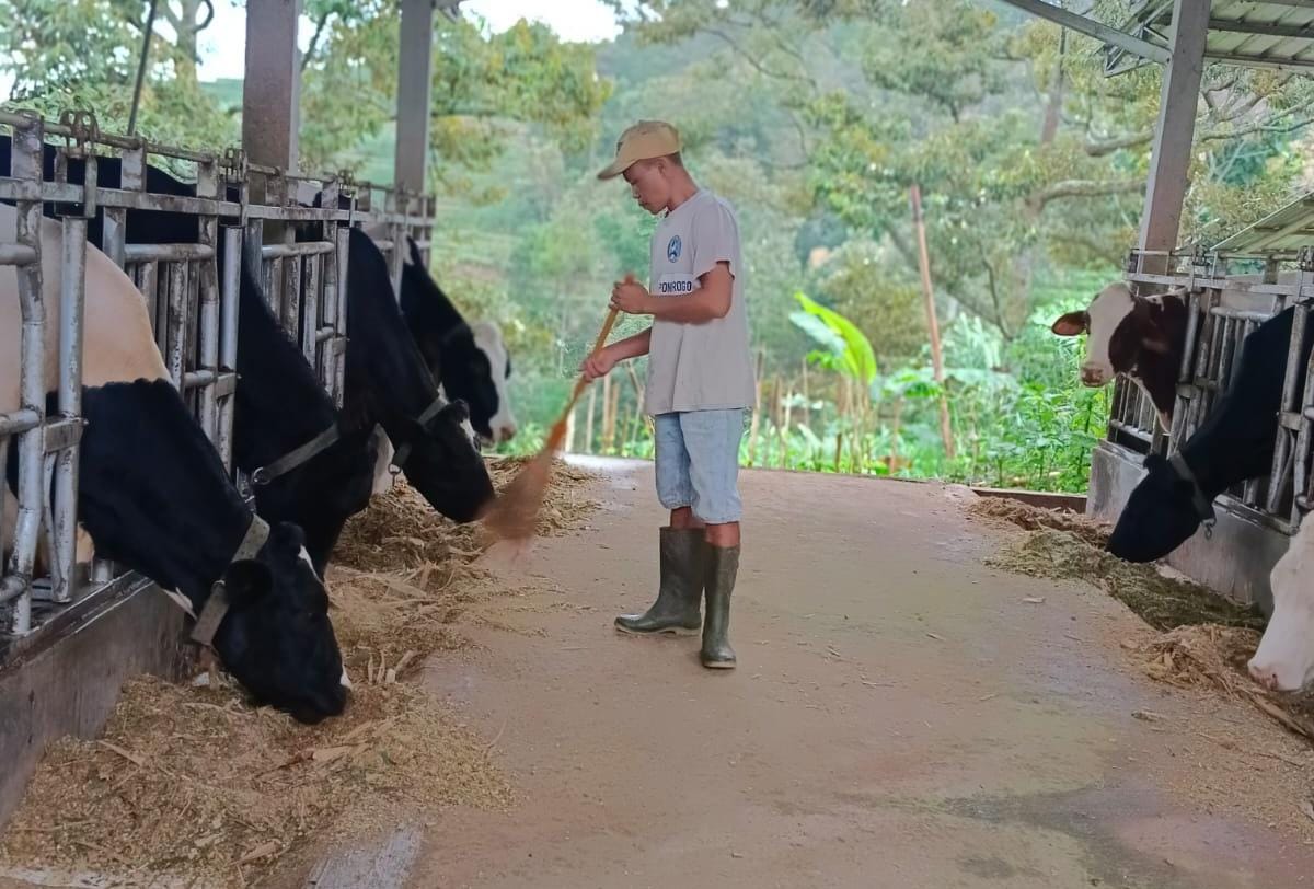Berkat Fasilitas Pembiayaan dari BRI, Klaster Susu di Ponorogo Tingkatkan Kapasitas Produksi