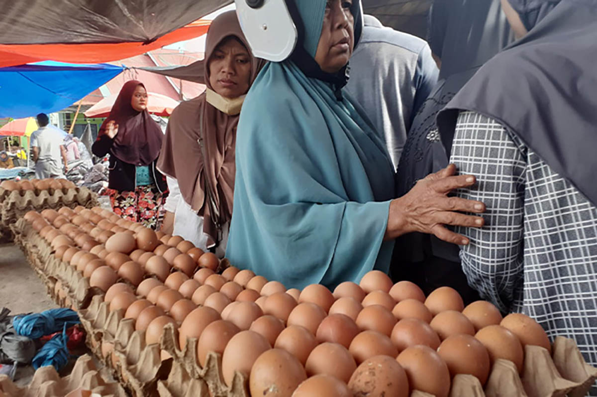 Harga Telur Ayam Mahal, Pemkab Mukomuko Akan Runding Petelur Payakumbuh